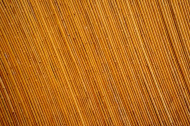 Background and texture of bamboo wall or fence.