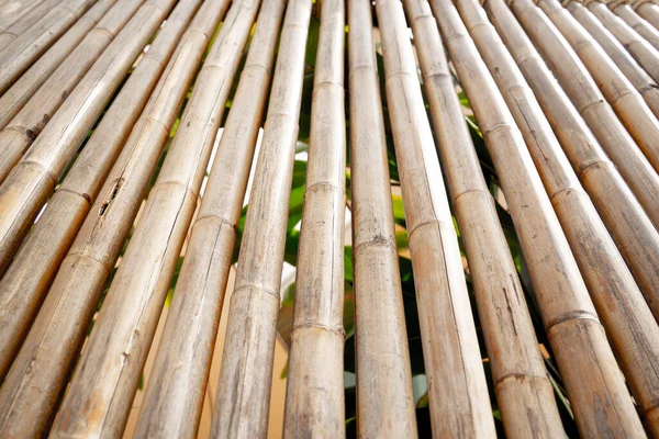Bakgrund Och Struktur Bambuvägg Eller Staket — Stockfoto