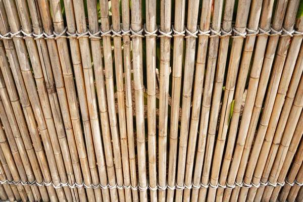 Contexte Texture Paroi Clôture Bambou — Photo
