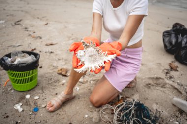 Kadın bir çevre bilimci plastikten ve diğer atıklardan sahil kenarını temizliyor..