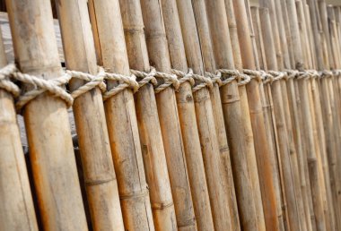 Bambu duvarının veya çitin arka planı ve dokusu.