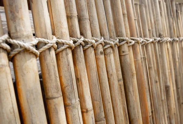 Bambu duvarının veya çitin arka planı ve dokusu.