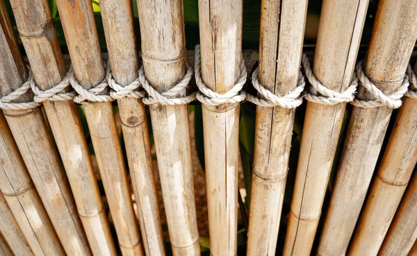 Bakgrund Och Struktur Bambuvägg Eller Staket — Stockfoto