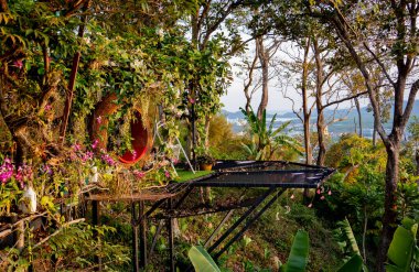 Yaz bahçesinin lüks peyzaj tasarımı.