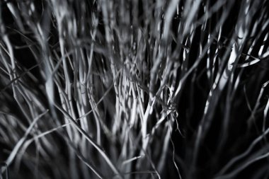 Köke benzeyen doğal süngerin makro arka planı.