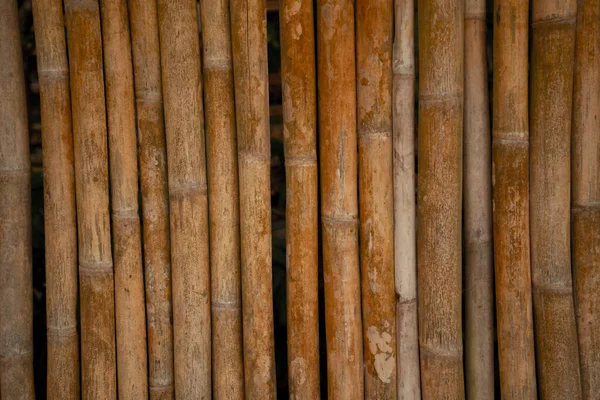 Fondo Textura Pared Cerca Bambú — Foto de Stock