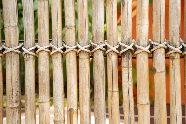 Background Texture Bamboo Wall Fence — Fotografia de Stock