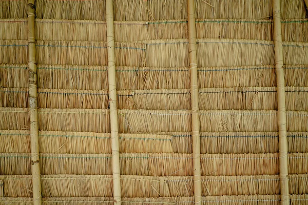 Background Texture Bamboo Wall Fence — Stock Fotó