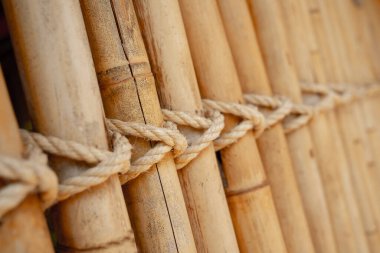 Background and texture of bamboo wall or fence.