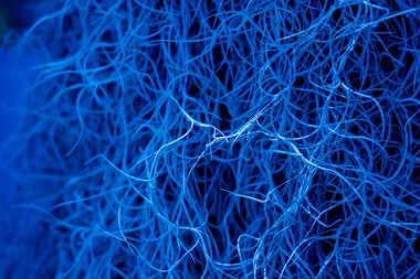 Köke benzeyen doğal süngerin makro arka planı.