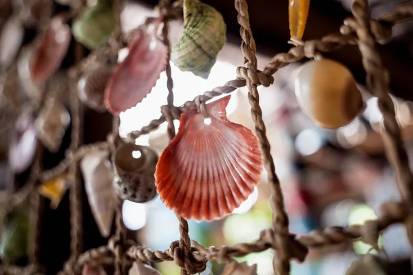 Mur Décoré Coquilles Saint Jacques Dans Une Rangée — Photo