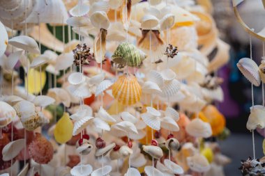 Farklı deniz kabuklarıyla süslenmiş el yapımı bir hatıra..