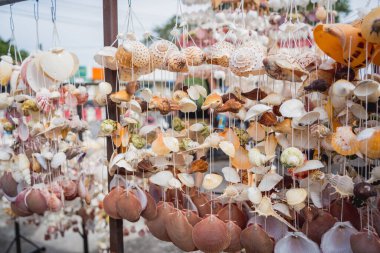 Farklı deniz kabuklarıyla süslenmiş el yapımı bir hatıra..