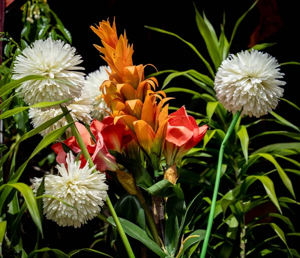 庭の夏のテラスで茂みの上の花 — ストック写真