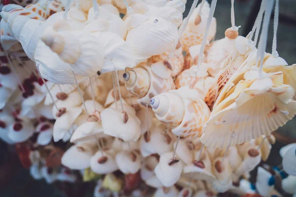 Handmade Souvenir Decorated Different Sea Shells — Stock Photo, Image