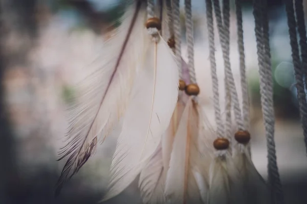 Dreamcatcher Feathers Threads Beads Rope Hanging — Photo