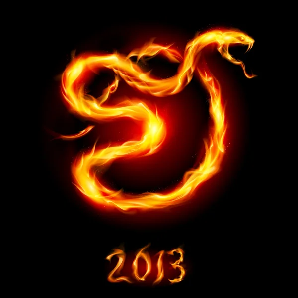 Tarjeta de colores con serpiente. Año nuevo 2013. Ilustración vectorial . — Vector de stock