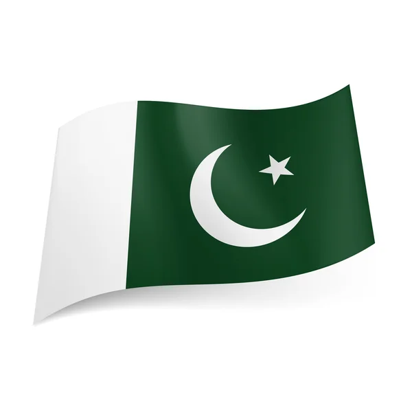 Vlag van pakistan. — Stockvector