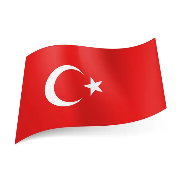 State flag of Turkey. — Stock Vector