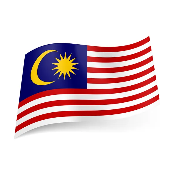 Malajzia állami zászlaja. — Stock Vector