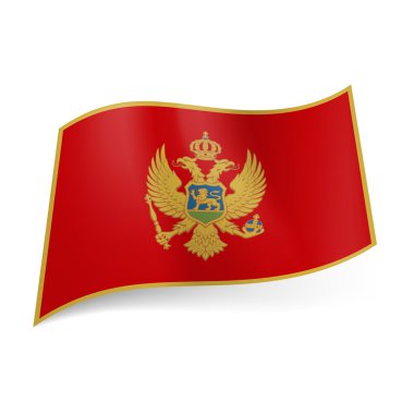 Devlet Karadağ bayrağı.