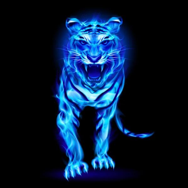 Blue fire tiger. — Stock Vector