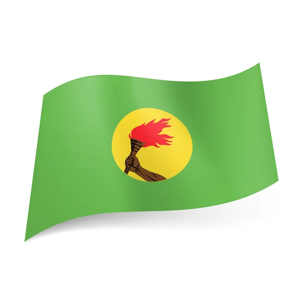 콩고의 국가 깃발. — 스톡 벡터