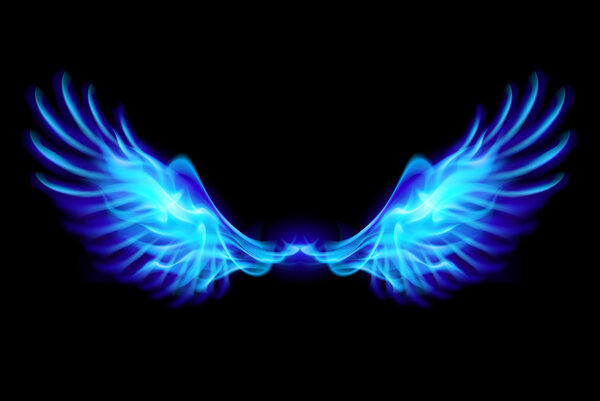 Blue fire wings.