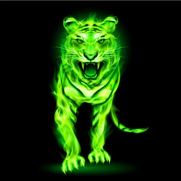 Green fire tiger. — Stock Vector