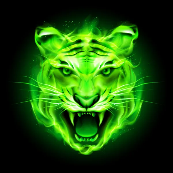 Green fire tiger. — Stock Vector