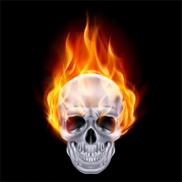 Fiery skull. — Stock Vector