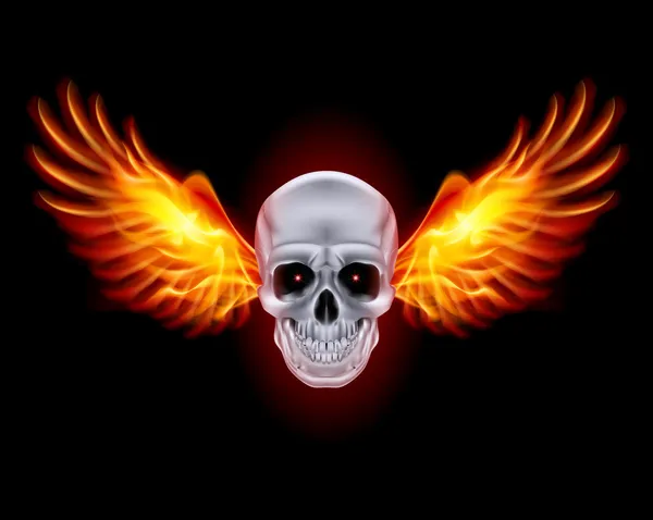 Skull with fire wings. — Stock Vector