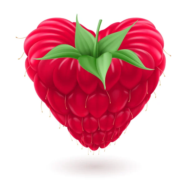 Framboise en forme de coeur . — Image vectorielle