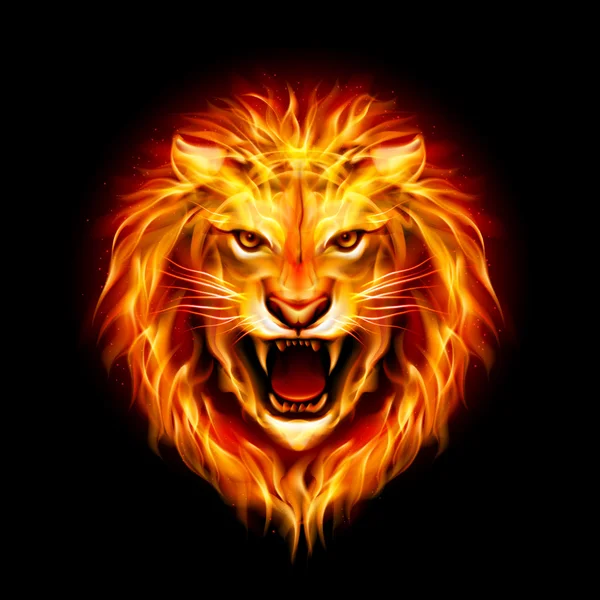 Head of fire lion. — Stock Vector