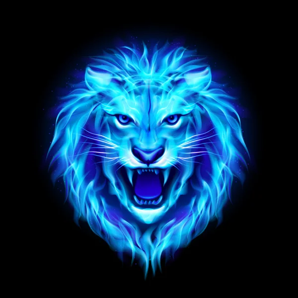 Head of fire lion. — Stock Vector