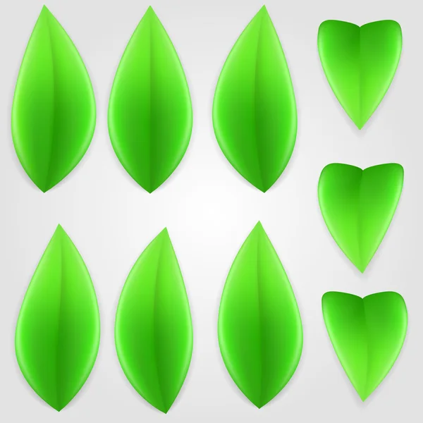 Natürliche grüne Blätter. — Stockvektor