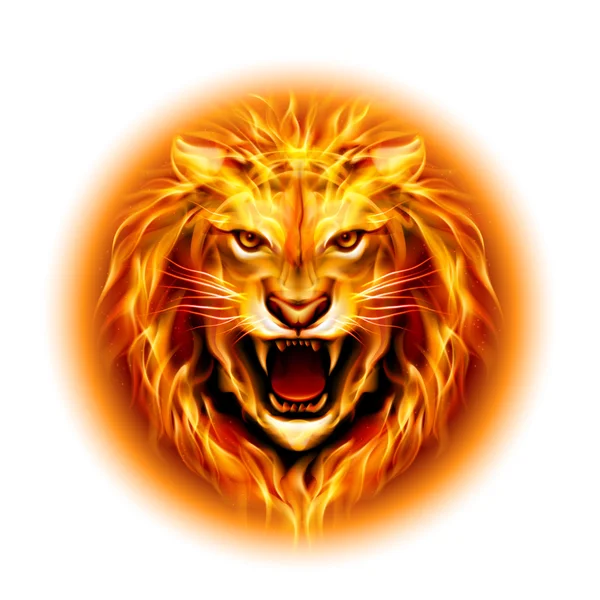 Head of fire lion. — Stock Vector