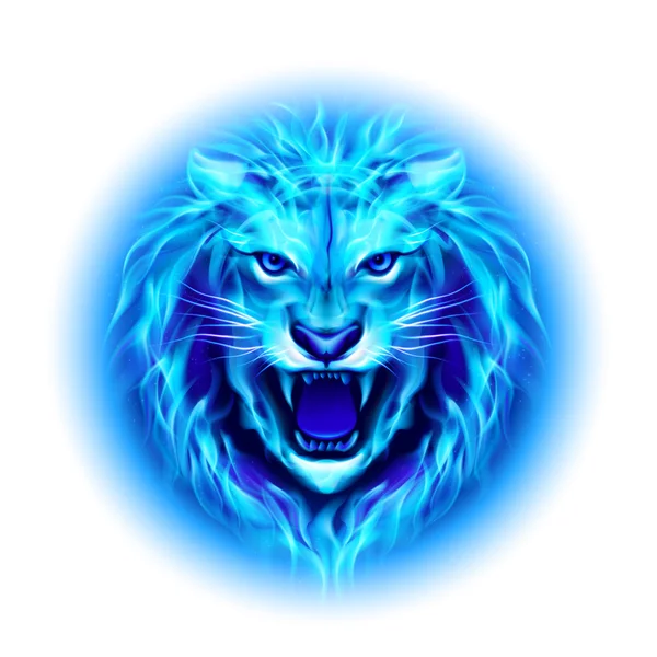 Head of fire lion. — Stock Vector