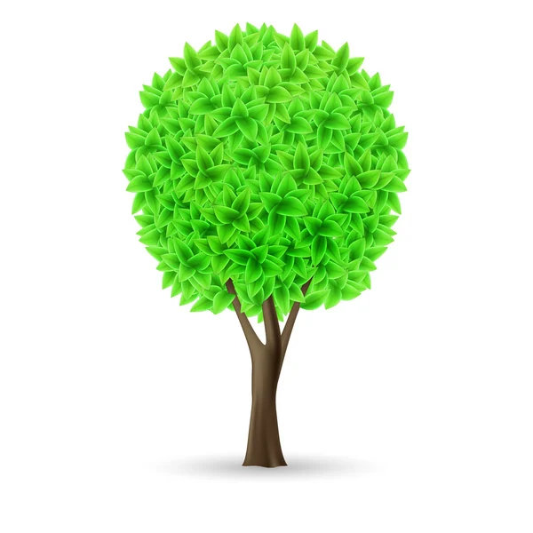 Árbol verde — Vector de stock