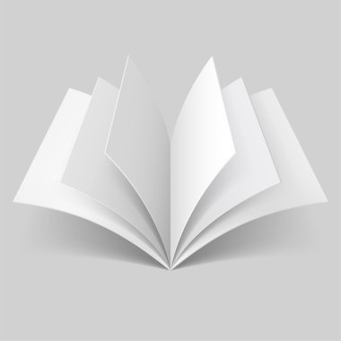 Açık boş kitap