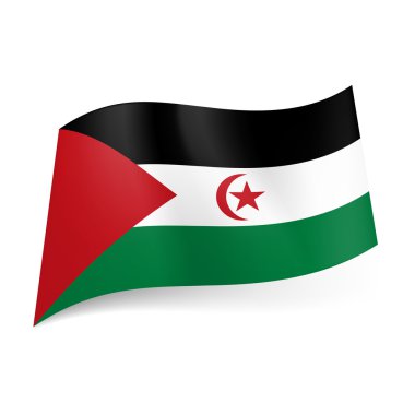 Sahra Arap Demokratik Cumhuriyeti Devlet bayrağı