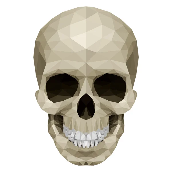 Crystul skull — Stock Vector