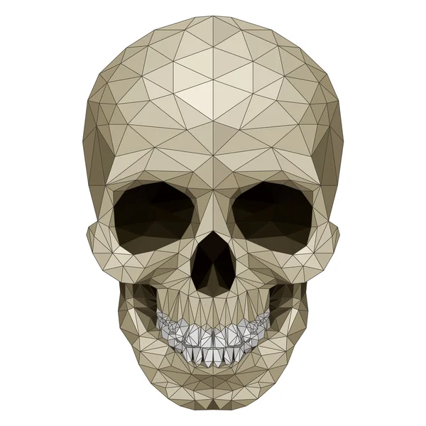 Mosaic skull — Stock Vector