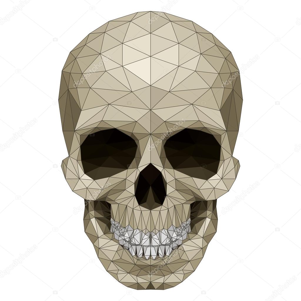 Mosaic skull