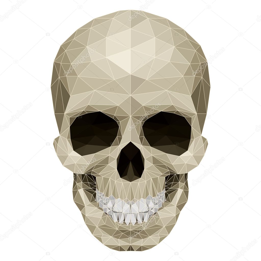 Mosaic skull