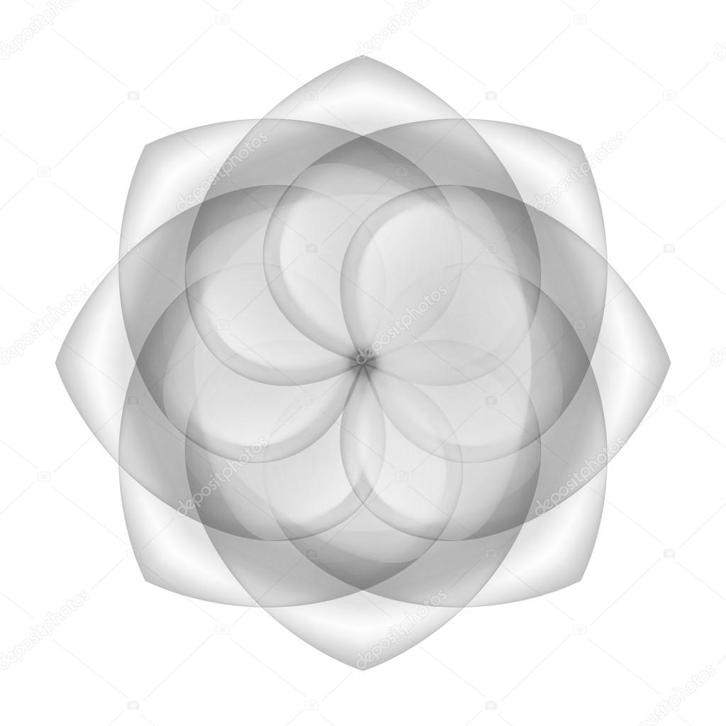 Abstract transparent flower 