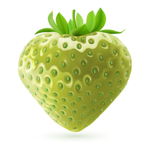 Unripe strawberry — Stock Vector