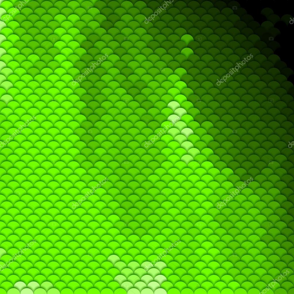 Scales pattern in green shades Stock Vector Image by ©dvargg 46414111