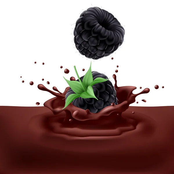 Blackberries with chocolate — Stock Vector