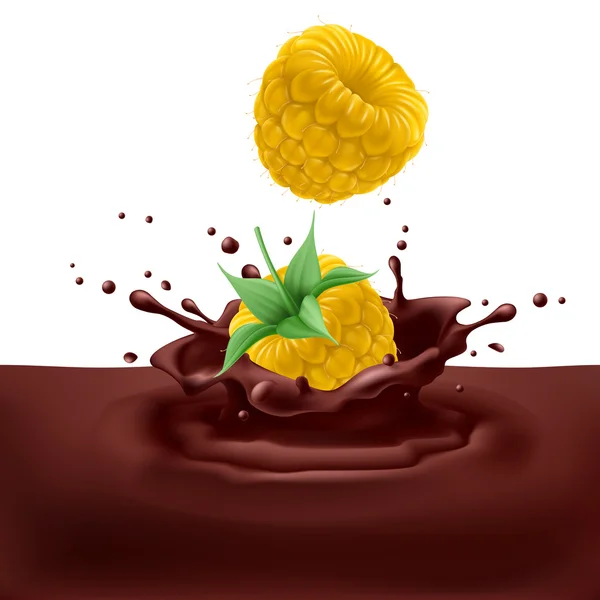 Yellow raspberries with chocolate — Stock Vector